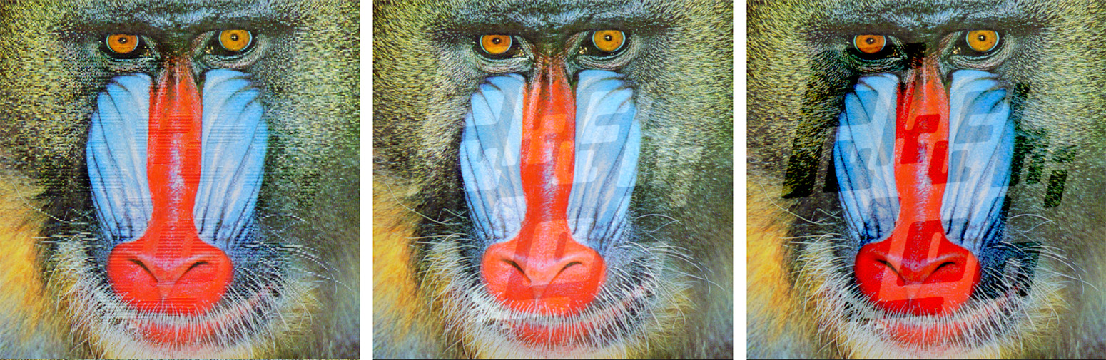 Example of latent imaging. From left to right: the displayed image viewed with the naked eye, the image for the left eye, and the image for the right eye. When the glasses are worn, the text &lsquo;Fukuchi Lab,&rsquo; embedded as a latent image, becomes perceptible.